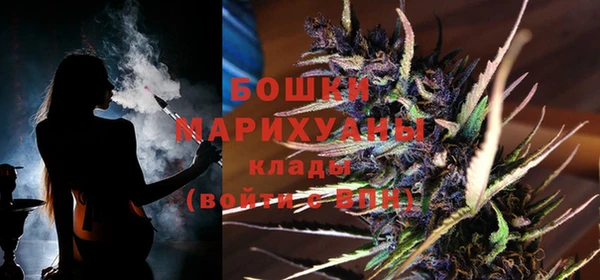 прущие грибы Белоозёрский