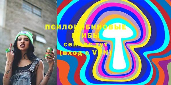 прущие грибы Белоозёрский