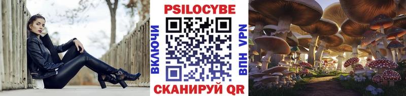 Купить где  Лосино-Петровский  Псилоцибиновые грибы Psilocybe 